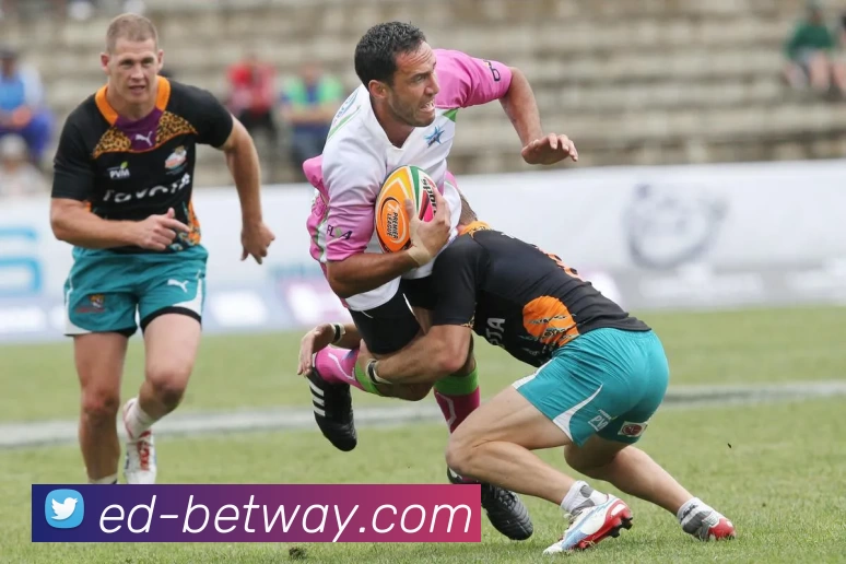 App Interface Preview